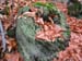 GresAnnot_Photo073