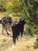 LacsMorgon_Photo006