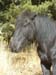LacsMorgon_Photo007_BS