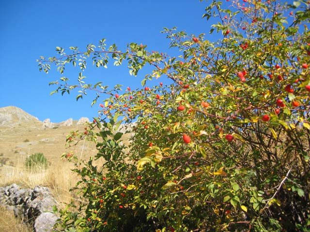 PortesLongon_Photo010