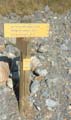PortesLongon_Photo020