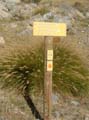 PortesLongon_Photo025