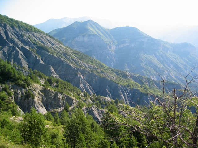 SauchaNegra_Photo003