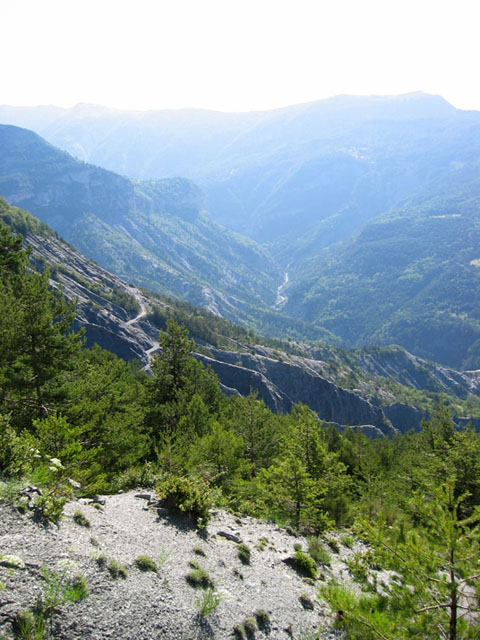 SauchaNegra_Photo004