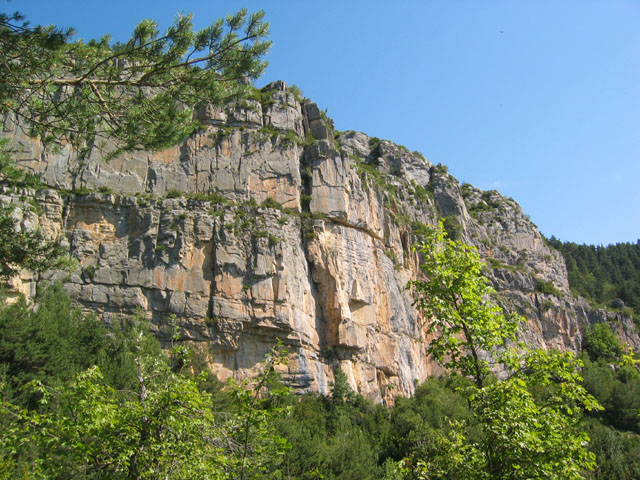 SauchaNegra_Photo010