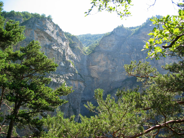 SauchaNegra_Photo012