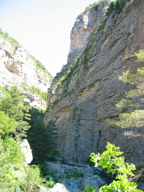 SauchaNegra_Photo014