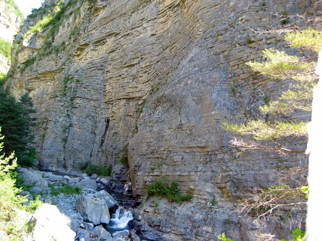 SauchaNegra_Photo015