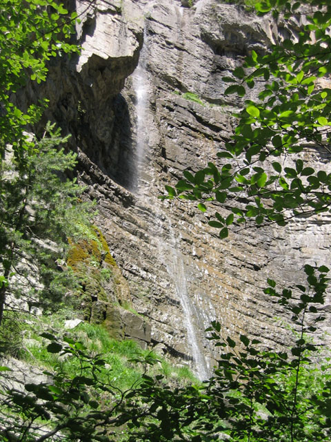 SauchaNegra_Photo016