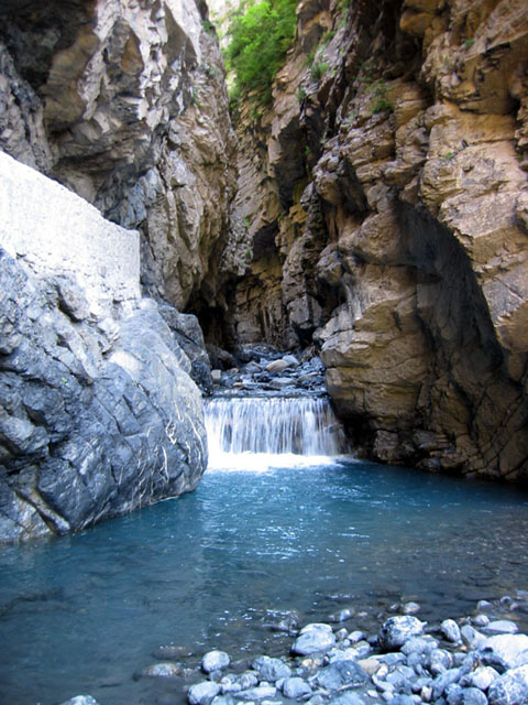 SauchaNegra_Photo018