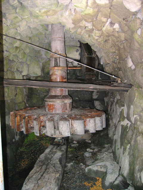 SauchaNegra_Photo023