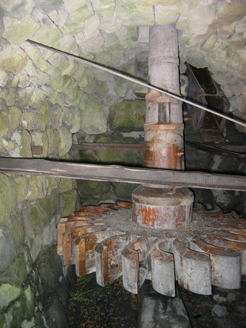 SauchaNegra_Photo024