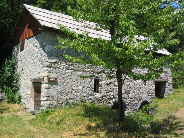 SauchaNegra_Photo026