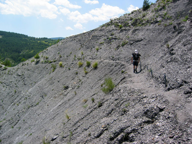 SauchaNegra_Photo028