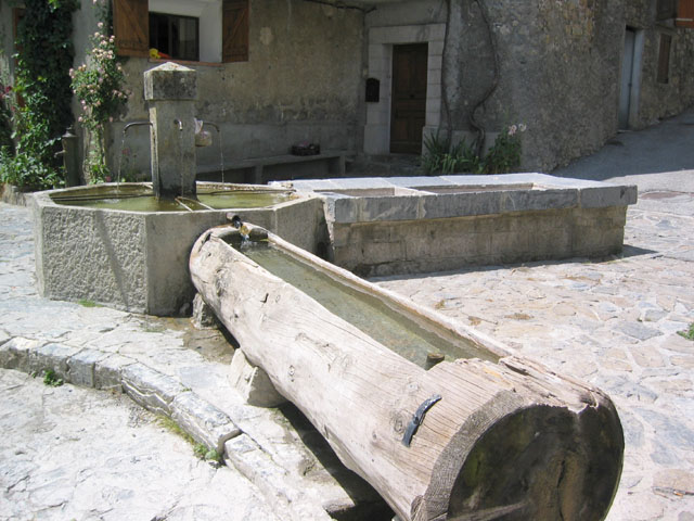 SauchaNegra_Photo033
