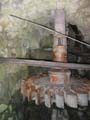 SauchaNegra_Photo024