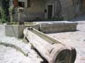 SauchaNegra_Photo033