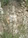 Airole-Breil_Photo024