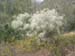 Airole-Breil_Photo043