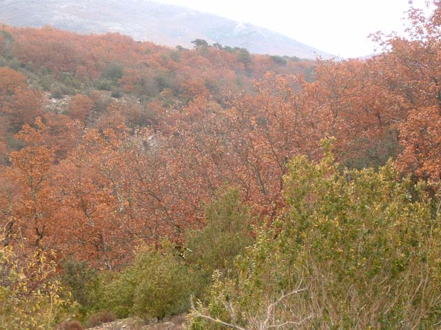 dscf0014