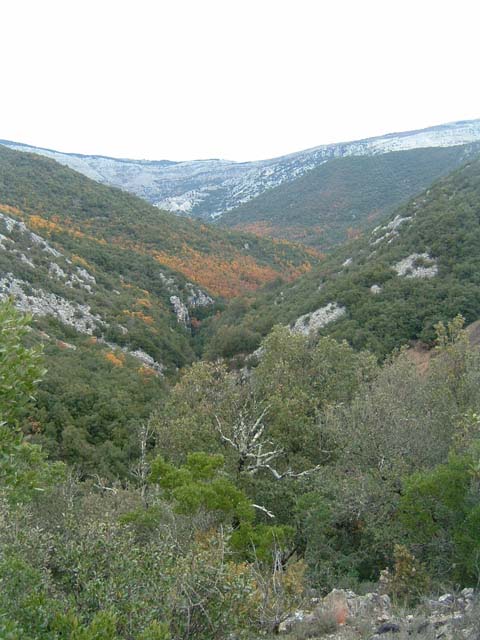 dscf0036