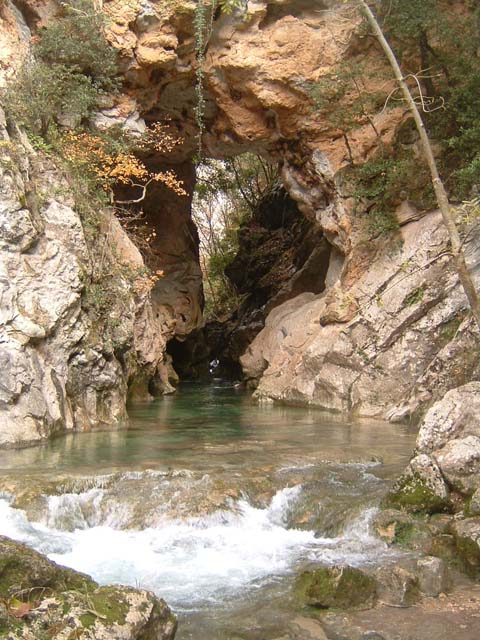 dscf0051