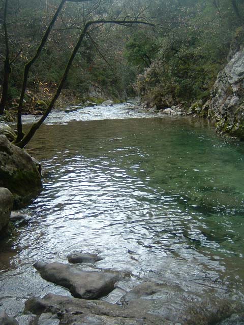 dscf0054