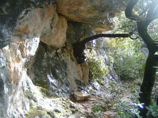 dscf0061