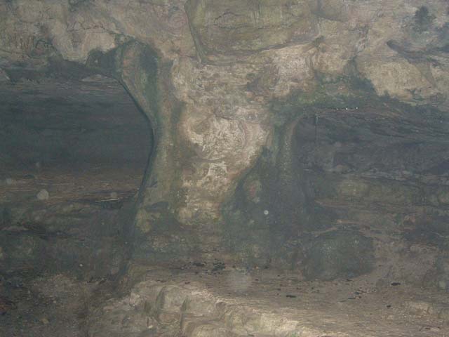 dscf0082
