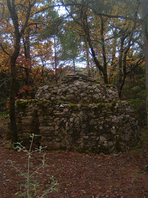 dscf0103