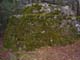 dscf0098