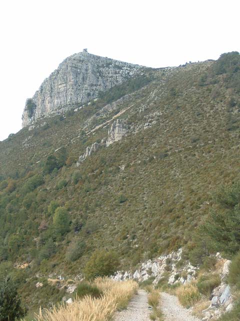 DSCF0009