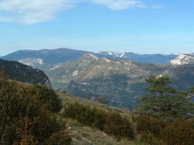 DSCF0011