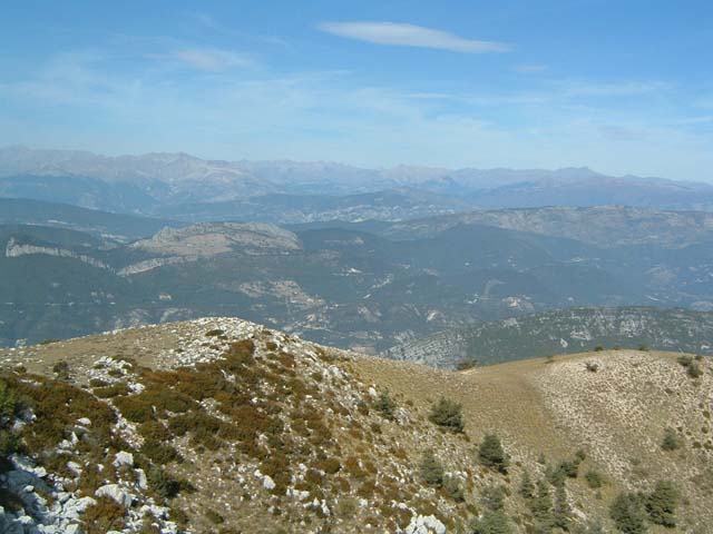 DSCF0037