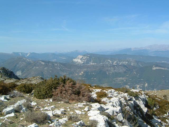 DSCF0038