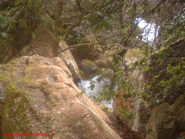 ColPierreCoucou_Photo001