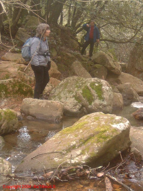 ColPierreCoucou_Photo002