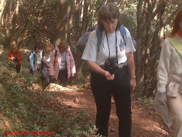 ColPierreCoucou_Photo006