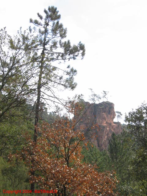 ColPierreCoucou_Photo007
