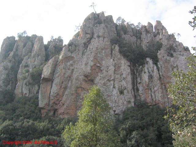 ColPierreCoucou_Photo009