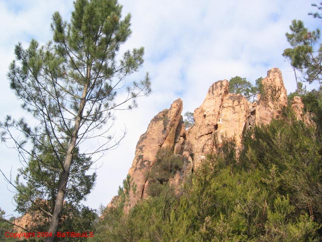 ColPierreCoucou_Photo010