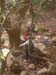 ColPierreCoucou_Photo004