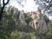ColPierreCoucou_Photo011