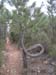 ColPierreCoucou_Photo022