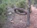 ColPierreCoucou_Photo023