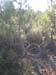 ColPierreCoucou_Photo024
