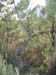 ColPierreCoucou_Photo025