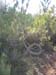 ColPierreCoucou_Photo026