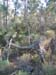 ColPierreCoucou_Photo027