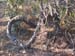 ColPierreCoucou_Photo028